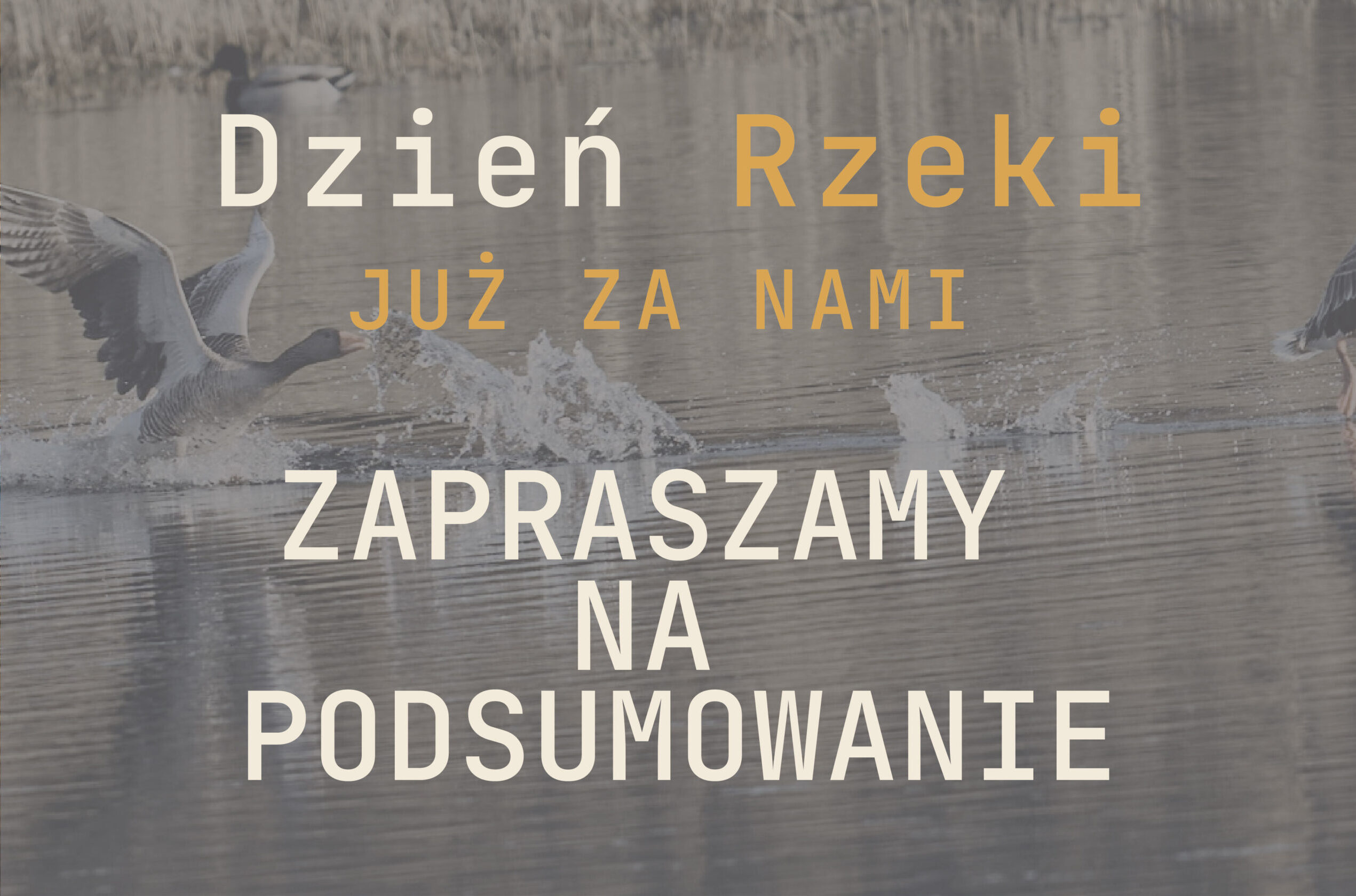 Dzień Rzeki 2026